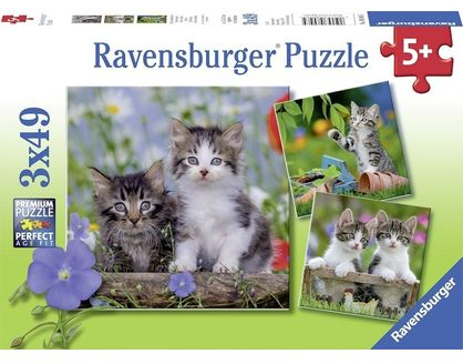 3 x 49 pc Puzzle - Tiger Kittens
