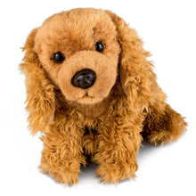 Cocker Spaniel