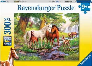 300 pc Puzzle - Horses by the Stream