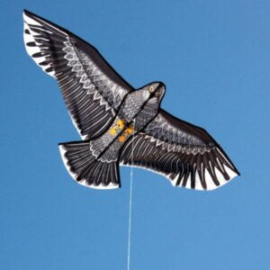 Eagle Single Line Kite