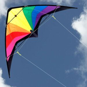 Prism Dual Line Kite
