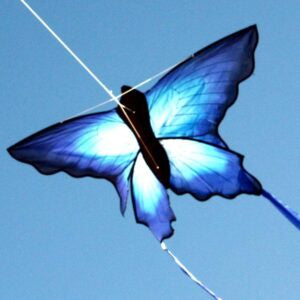 Blue Butterfly Single Line Kite