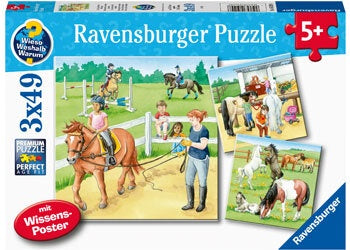 3 x 49 pc Puzzle - A Day at the Stables