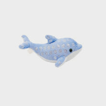 Foilkins-Jr Dolphin