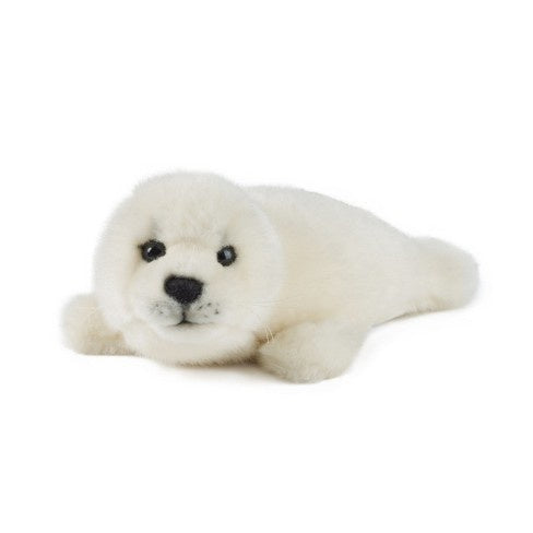 Grey Seal