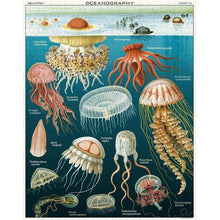 1000 pc Vintage Puzzle - Jellyfish