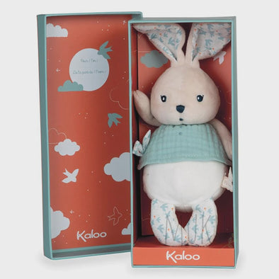 Soft Rabbit in Gift Box - 25 cm