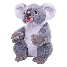 Koala (Artist Collection)