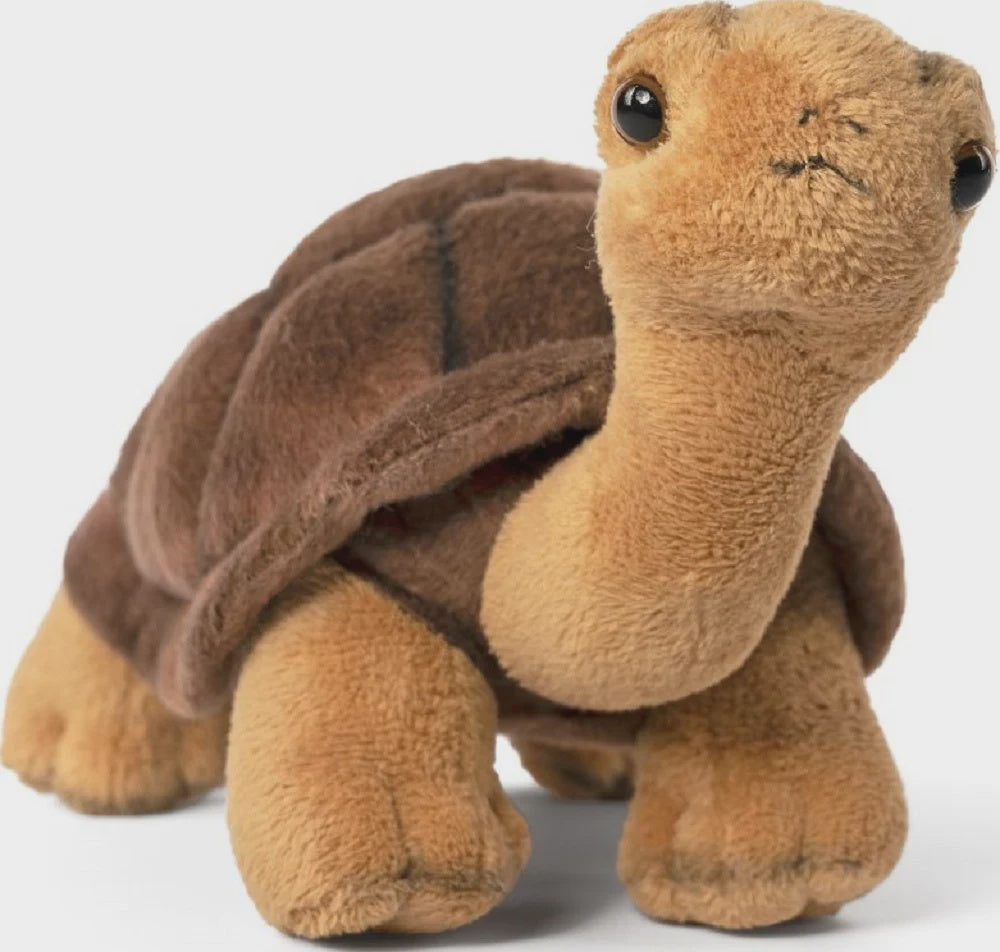Leopard Tortoise