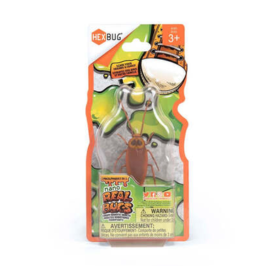 Nano Real Bugs 1 pc - Assorted Bugs