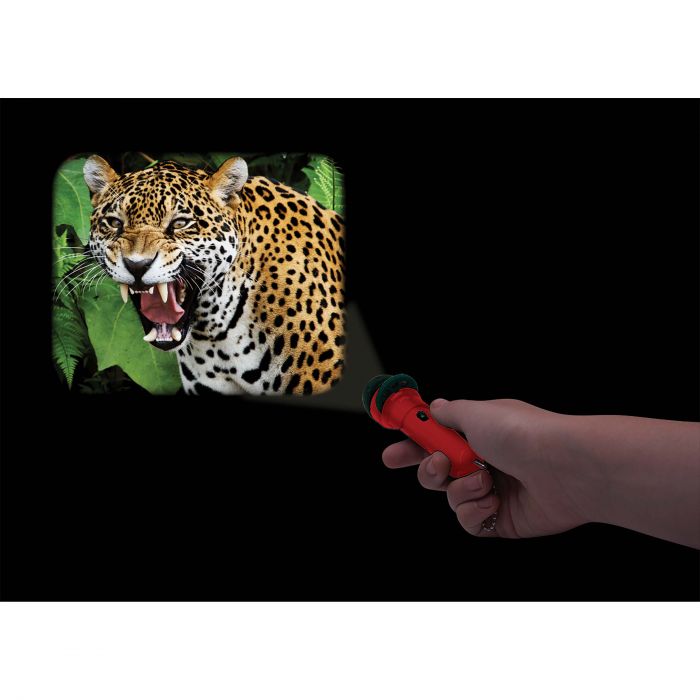 Torch Projector - Wild Things That Bite and Sting