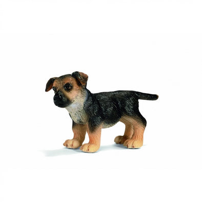 German Sheppard Puppy