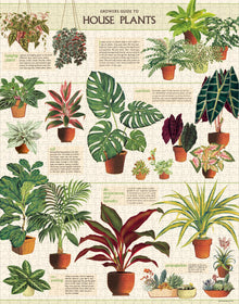 1000 pc Vintage Puzzle - House Plants