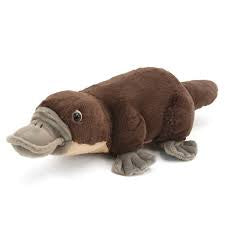Cuddlekins Mini Platypus