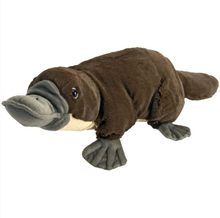 Cuddlekins - Platypus 30cm
