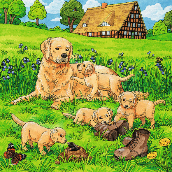 3 x 49 pc Puzzle - Cats and Dogs