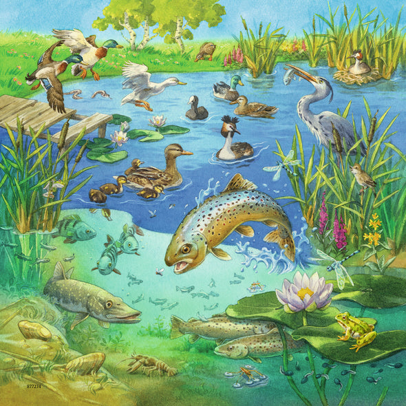 3 x 49 pc Puzzle - Animals in their habitats