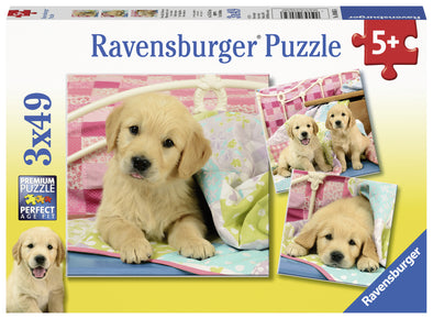3 x 49 pc Puzzle - Cute Puppy Dogs