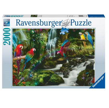 2000 pc Puzzle - Parrots Paradise