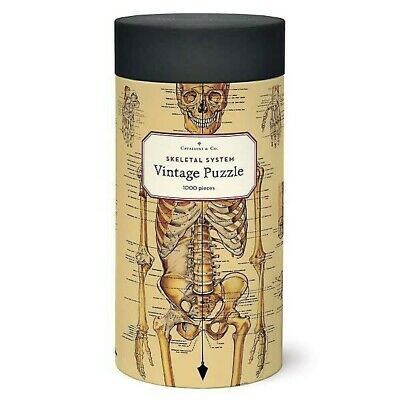 1000 pc Vintage Puzzle - Skeletal System