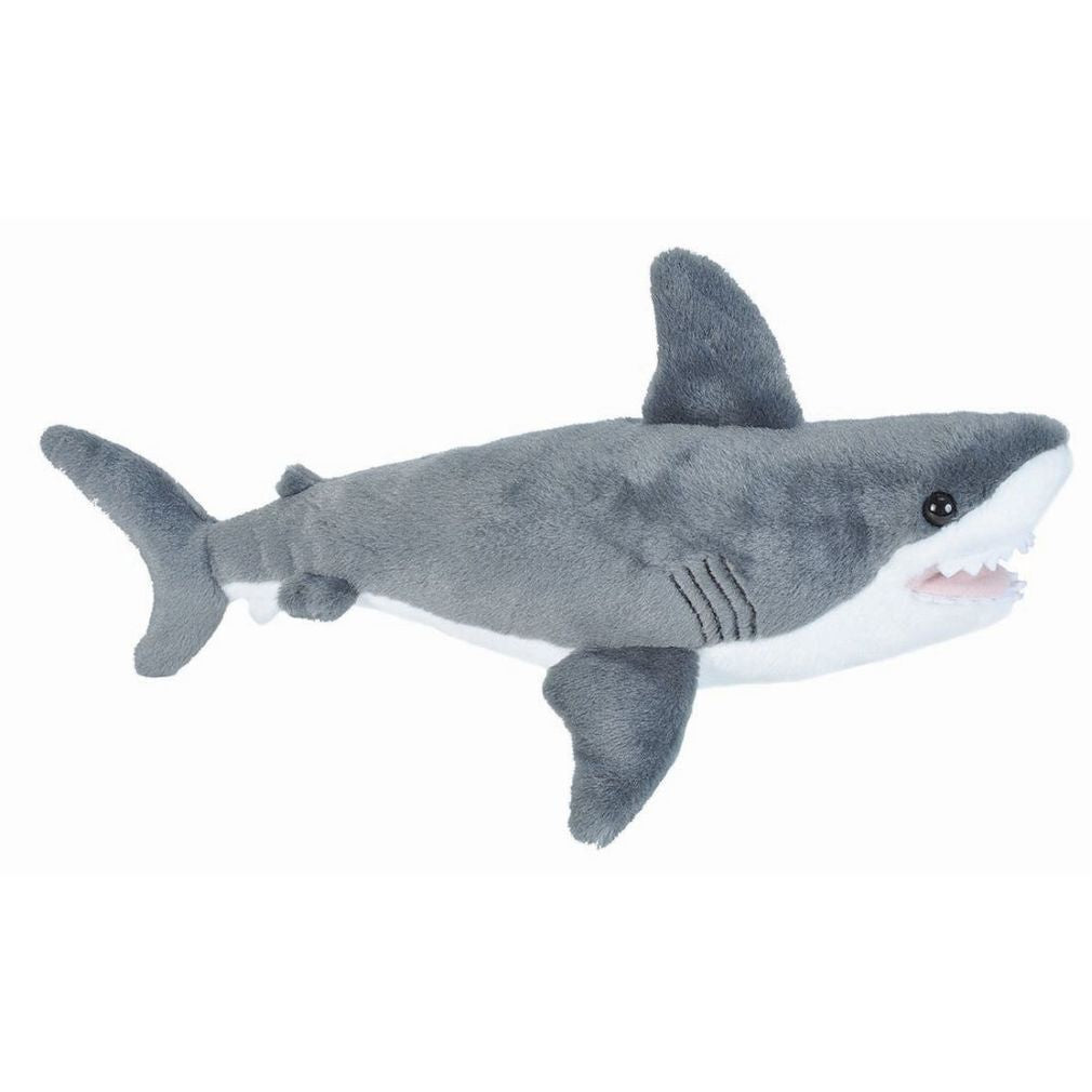 Mini Great White Shark
