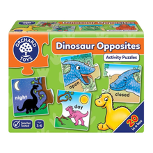 Dinosaur Opposites