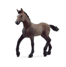 Peruvian Paso Foal