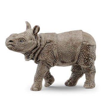 Indian Rhinoceros Calf