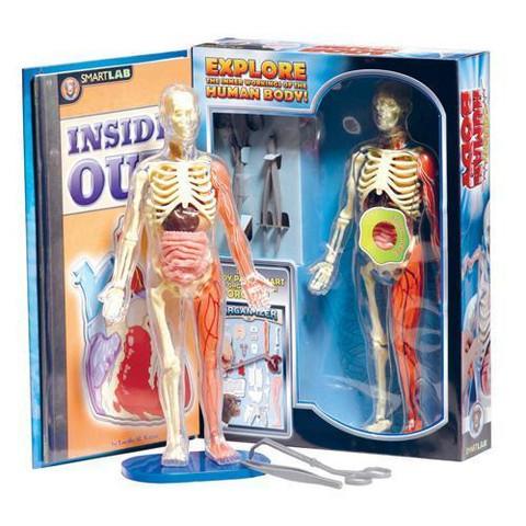 Squishy Human Body