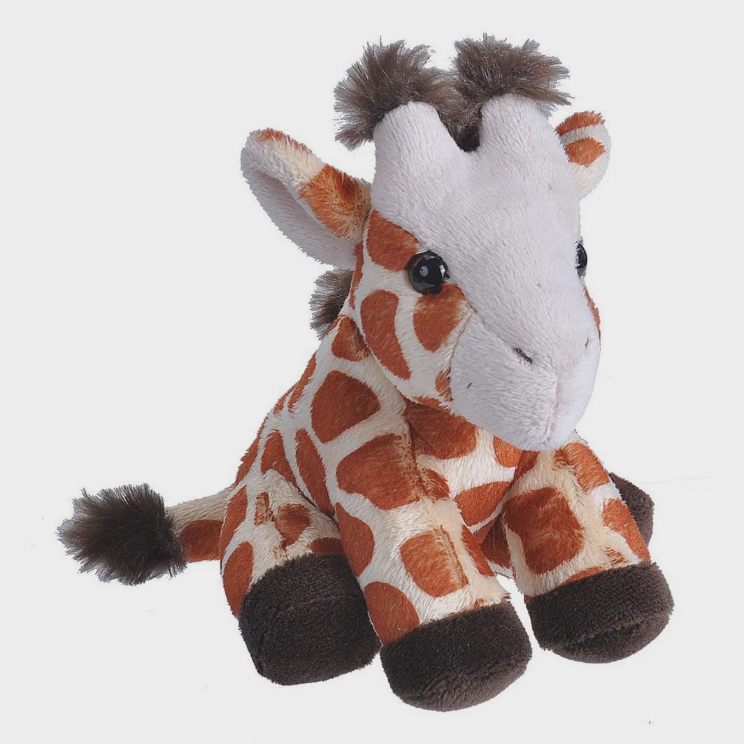 Pocket Kins - Giraffe