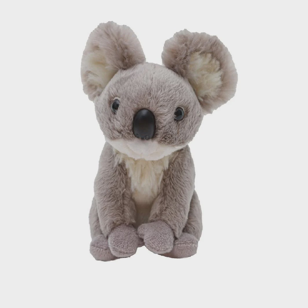 Pocket Kins - Koala